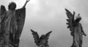 son banner