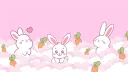 BunBun Translations 🐇✨ banner