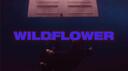 WILDFLOWER Banner