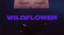 WILDFLOWER banner