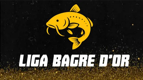 LBD • Bagre D'Or - S5 banner
