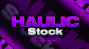 Haulic Stock server banner