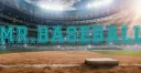 Mr. Baseball banner