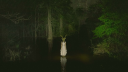 🌲— the wilderness . . . server banner