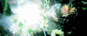 .ꕤ ݁˖   crescent    ۪   ݁   𓈒 server banner