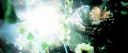.ꕤ ݁˖   crescent    ۪   ݁   𓈒 server banner