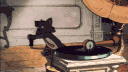 ȶɦɛ ʍʊֆɛ banner