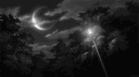 Goodnight banner