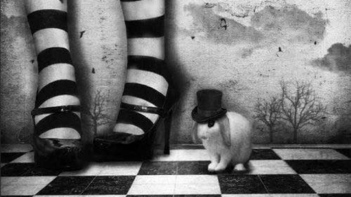 kiwiland. (USSR) Discord server banner