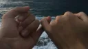 *   ੈ 9-1-1 🐻 ✩‧₊˚* server banner