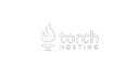 Torch Hosting banner
