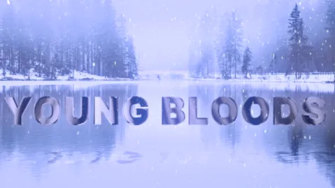 bb tag banner