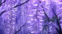 elbet bir gün 🕊 banner