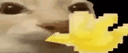 Konchaligy banner