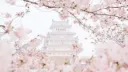 ⊹₊˚‧︵‿₊୨The Blossom Palace⋆‧°𓏲ּ𝄢 Discord server banner