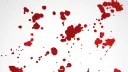 honor banner