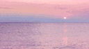 🕊 ꜱᴏᴜʟ ʜᴜʙ banner