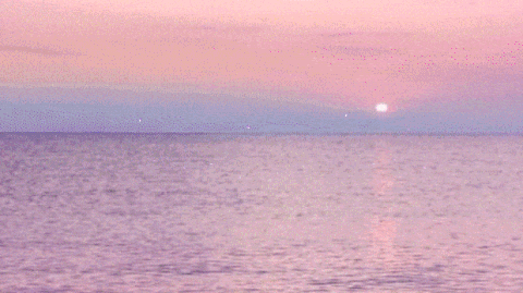 🕊 ꜱᴏᴜʟ ʜᴜʙ banner