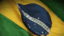 [SELVA] FOXHOLE banner