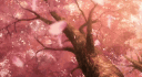 ²SERVEUR banner