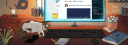 banner