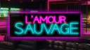 L'AMOUR SAUVAGE banner