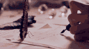 🍁. N ᴀ s ʜ ᴀ ™ .🍁 | Tɪᴄᴋᴇᴛ・Vᴏᴜᴄʜ・Sᴜᴘᴘᴏʀᴛ !! banner