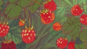 𝙼𝚘𝚔𝚊𝚒𝚒 𝙲𝚊𝚏𝚎́ Discord server banner