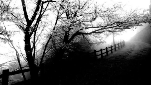 ❦ 𝙼𝚢 𝙲𝚑𝚎𝚖𝚒𝚌𝚊𝚕 𝙼𝚒𝚜𝚎𝚛𝚢 ❦ Discord server banner