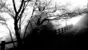 ❦ 𝙼𝚢 𝙲𝚑𝚎𝚖𝚒𝚌𝚊𝚕 𝙼𝚒𝚜𝚎𝚛𝚢 ❦ Discord server banner