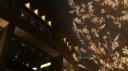 Eastern Echo server banner