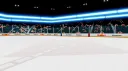 Arcade Hockey League banner
