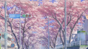 Miri Discord server banner