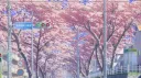 Lnl banner