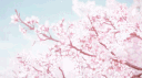 /euphoria banner