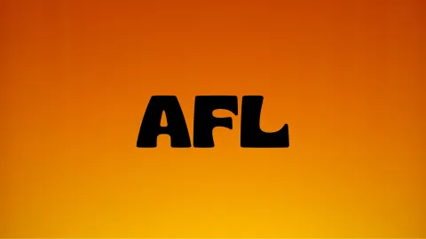 Animal Football League banner