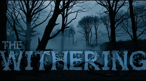 𝚃𝚑𝚎 𝚆𝚒𝚝𝚑𝚎𝚛𝚒𝚗𝚐 Discord server banner