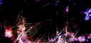 /skim banner