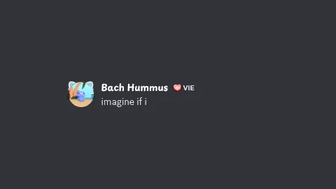 Vietnam 🇻🇳 banner
