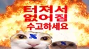 🎃 DRX 태그 서버ㅣDRX Tags banner