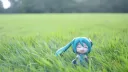 Goober Grove • Lovey • Goober • Friends • Chill Discord server banner