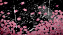 Diva ୨ৎ banner
