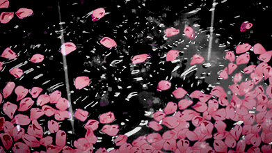 Diva ୨ৎ banner