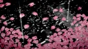 Diva ୨ৎ banner