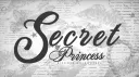 𓂃˚ֶָ Secret of Princess ୧ banner