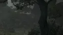 [ ɮɛʏօռɖ ȶɦɛ աɨȶƈɦաօօɖ ] banner