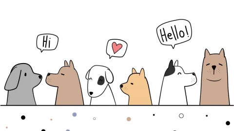 The Fetch Zone 🐾🦴 banner