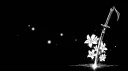 mk banner