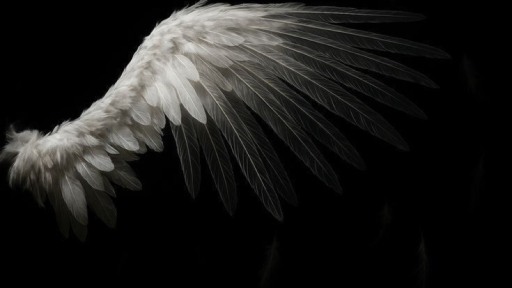 Wings Of Wax Discord server banner