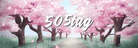 505 banner